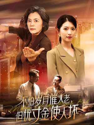不怕岁月催人老，但忧寸金使人坏（31集） 一共多少集
