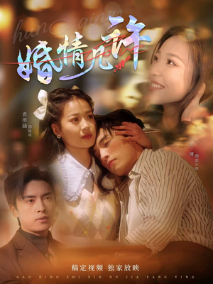 婚情几许（81集）全集免费