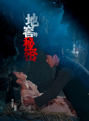 地窖的秘密（40集）短剧热播抢先看
