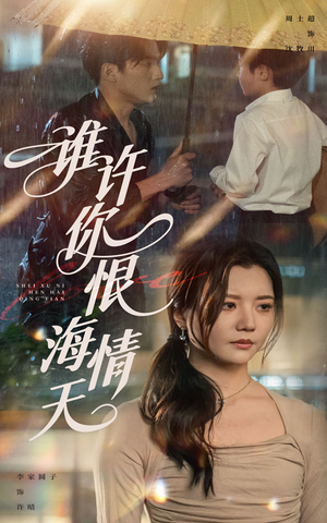 谁许你恨海情天（50集）全集我都看完了