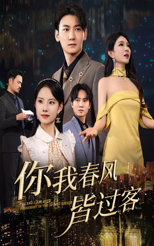 你我春风皆过客（58集）热播短剧全集看