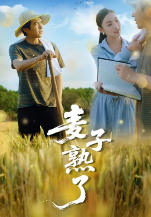 麦子熟了（52集）短剧追不停