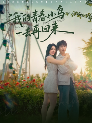 我的青春小鸟一去再回来（95集）短剧免费看全集
