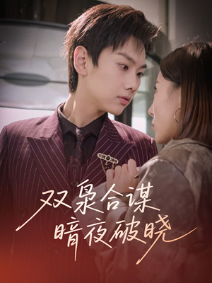 双枭合谋暗夜破晓（30集）流畅播放免费看