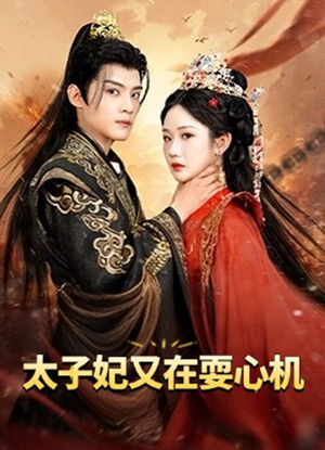 太子妃又在耍心机（80集）高清无码免费看