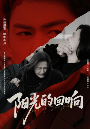 阳光的回响（50集）最火的短剧