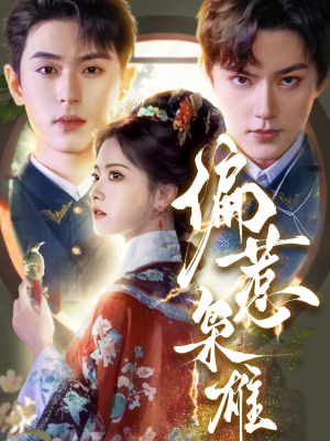 偏惹枭雄（82集）精彩短剧热播