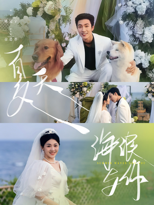 夏天，海浪与你（76集）免费看全集