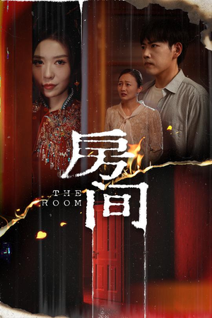 房间（45集）一口气看完全集