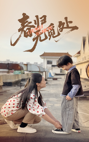 春归无觅处（46集）最新热播短剧