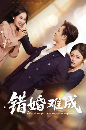 错婚难成（45集）看短剧放松一下