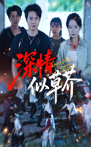 深情似草芥（51集）热门短剧抢先