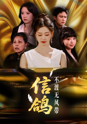 信鸽不渡无风带（65集）第三季
