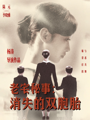 老宅秘事消失的双胞胎（90集）热门了短剧