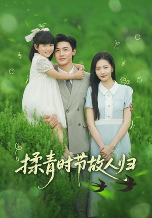 揉青时节故人归（60集）好看的短剧来了