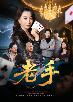 老手（36集）评价怎么样