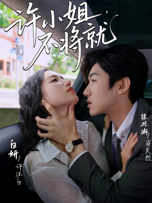 许小姐不将就（60集）免费观看