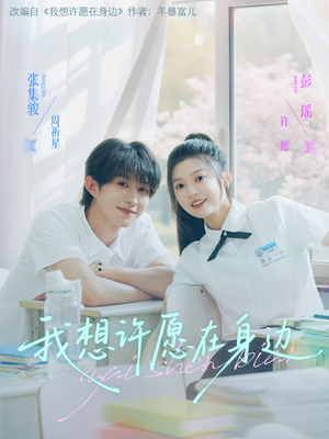 我想许愿在身边（79集）1-102集