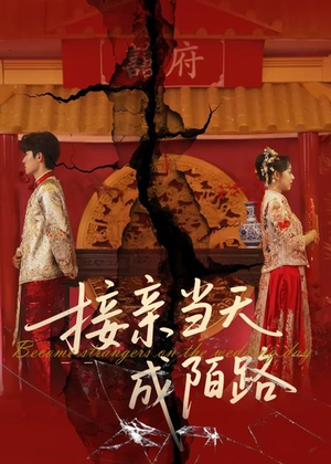 接亲当天成陌路（50集）热门短剧在线看