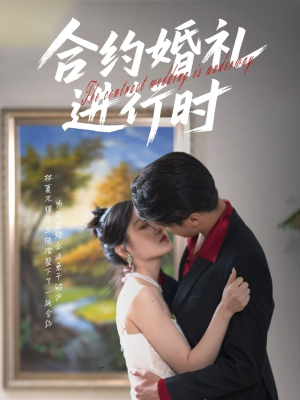 合约婚礼进行时（30集）免费短剧看全集