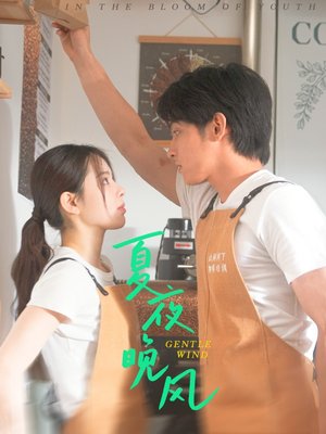 夏夜晚风（12集）集免费看短剧
