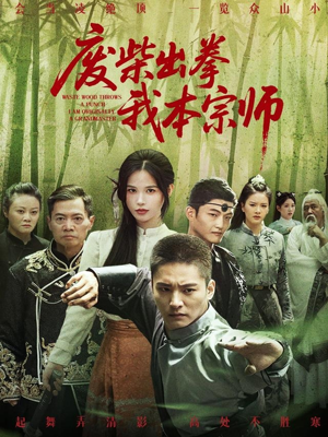 废柴出拳我本宗师（61集）简直不要太好看