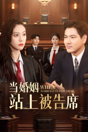 当婚姻站上被告席（30集）第32集