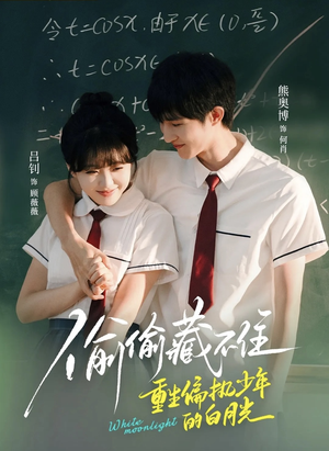 偷偷藏不住重生偏执少年的白月光（80集）免费短剧看不停