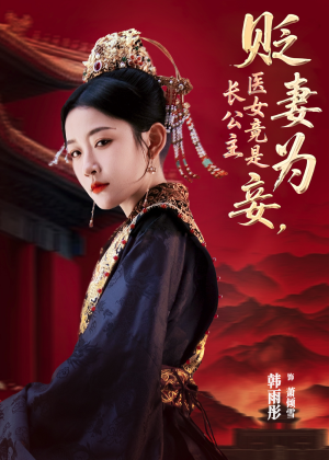 贬妻为妾医女竟是长公主（80集）热门短剧排行榜