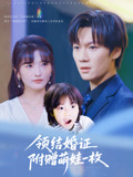 领结婚证附赠萌娃一枚（53集）全集免费观看