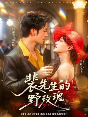 裴先生的野玫瑰（72集）直接追到结尾