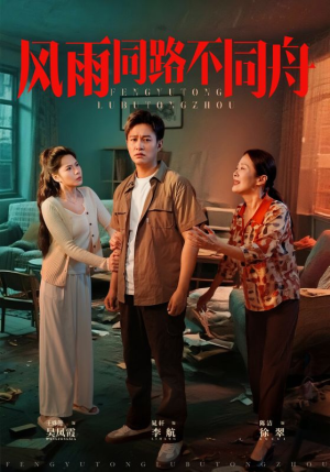 风雨同居不同舟（32集）短剧全集完整版