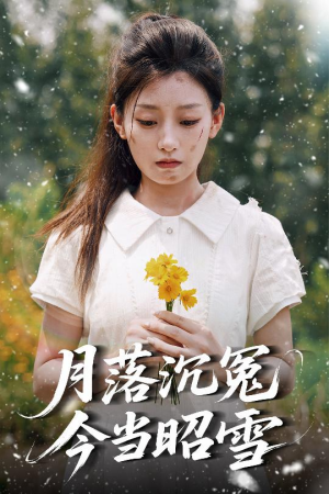 月落沉冤今当昭雪（60集）追短剧看全集