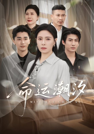 命运潮汐（62集）热播短剧来袭