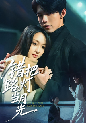 错把路灯当月光（40集）夸克网盘观看
