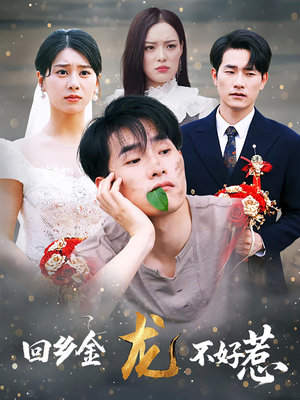 回乡金龙不好惹（74集）独家短剧免费看