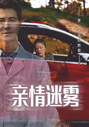 亲情迷雾（30集）演的怎么样