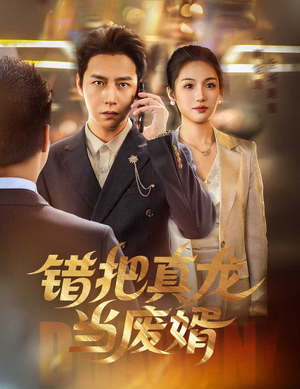 错把真龙当废婿（60集）熬夜追短剧