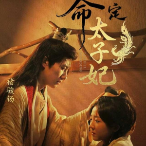 命定太子妃（63集）80到100集
