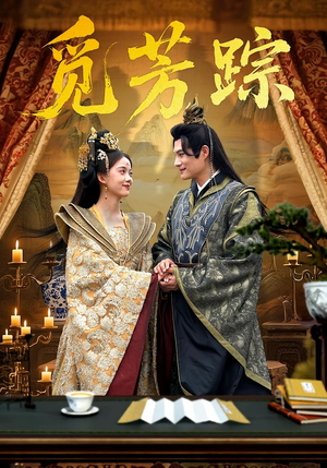 觅芳踪（91集）在线免费观影