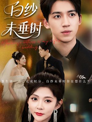 老婆婚礼，我当证婚人&老婆婚礼我当证婚人&白纱未垂时（54集）古装热门短剧