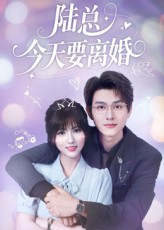 陆总今天要离婚（81集）免费全集短剧