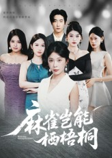 麻雀岂能栖梧桐（31集）超火热门短剧