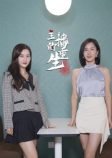 主播的重生（15集）一口气追完短剧