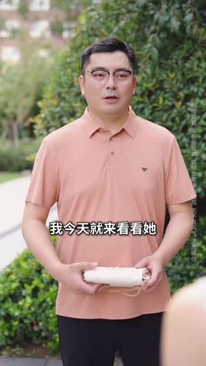 孩子非我亲生前妻救我于水火（30集）全集下载