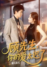 顾先生你的爱太迟了（60集）好看的短剧来了