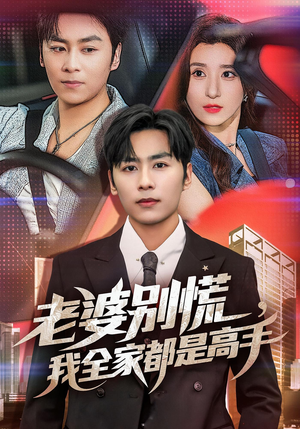 婆别慌我全家都是高手(58集) 婆别慌我全家都是高手(58集)短剧在线看