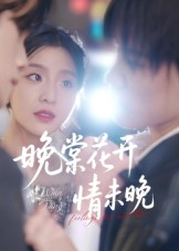 晚棠花开情未晚（30集）短剧小说在线看