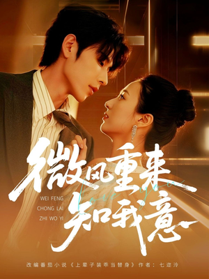 微风重来知我意（62集）短剧追到爽
