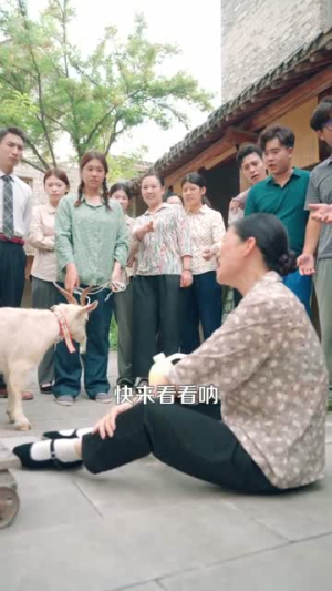 重生88致富路从二道贩子开始（103集）短剧全集免费